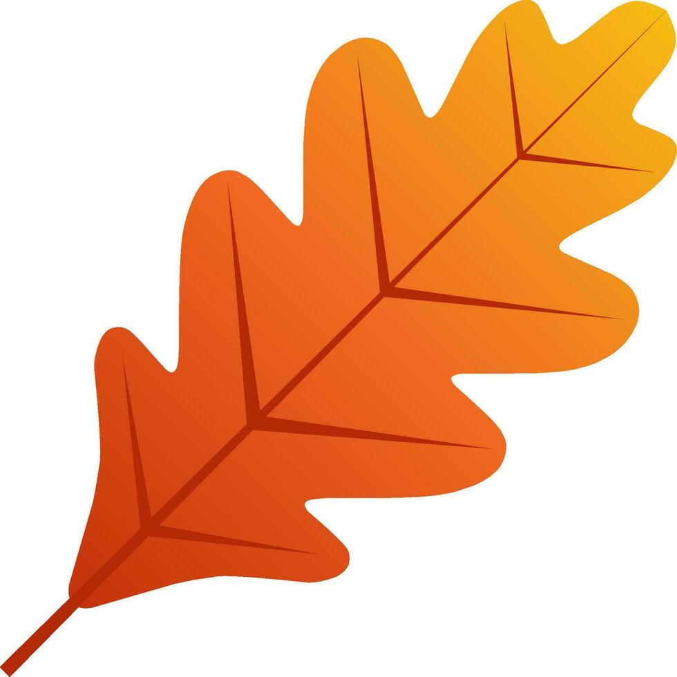 Oak leaf vector icon for autumn celebration. Fall season oak leaf icon for cozy or hygge design graphic. Autumn leaf vector for symbol, sign, decoration or graphic resource. Mid autumn festival