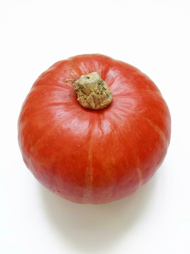 round orange pumpkin on white background photo