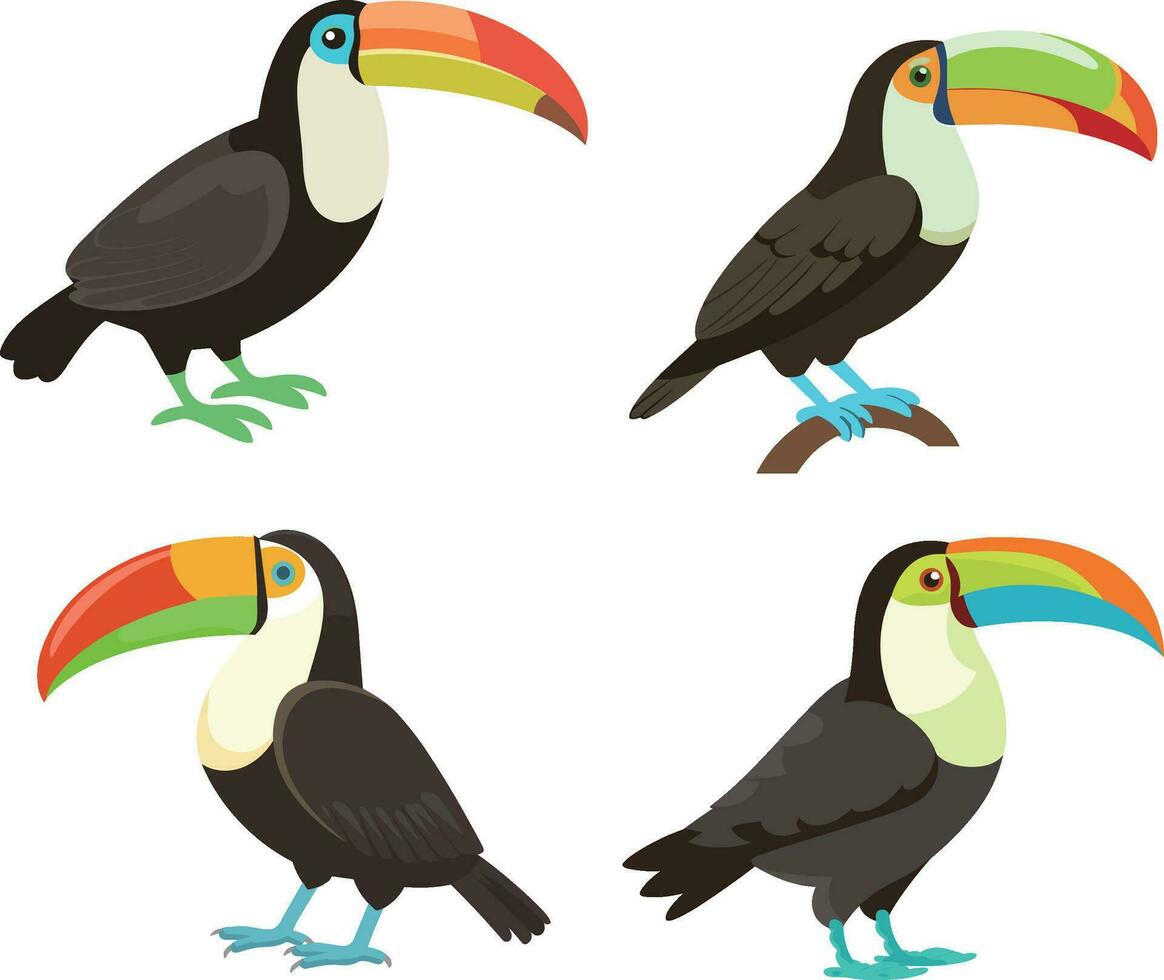 toucan drawing flat vector illustration , white background , isolated , illustration minimal flipart