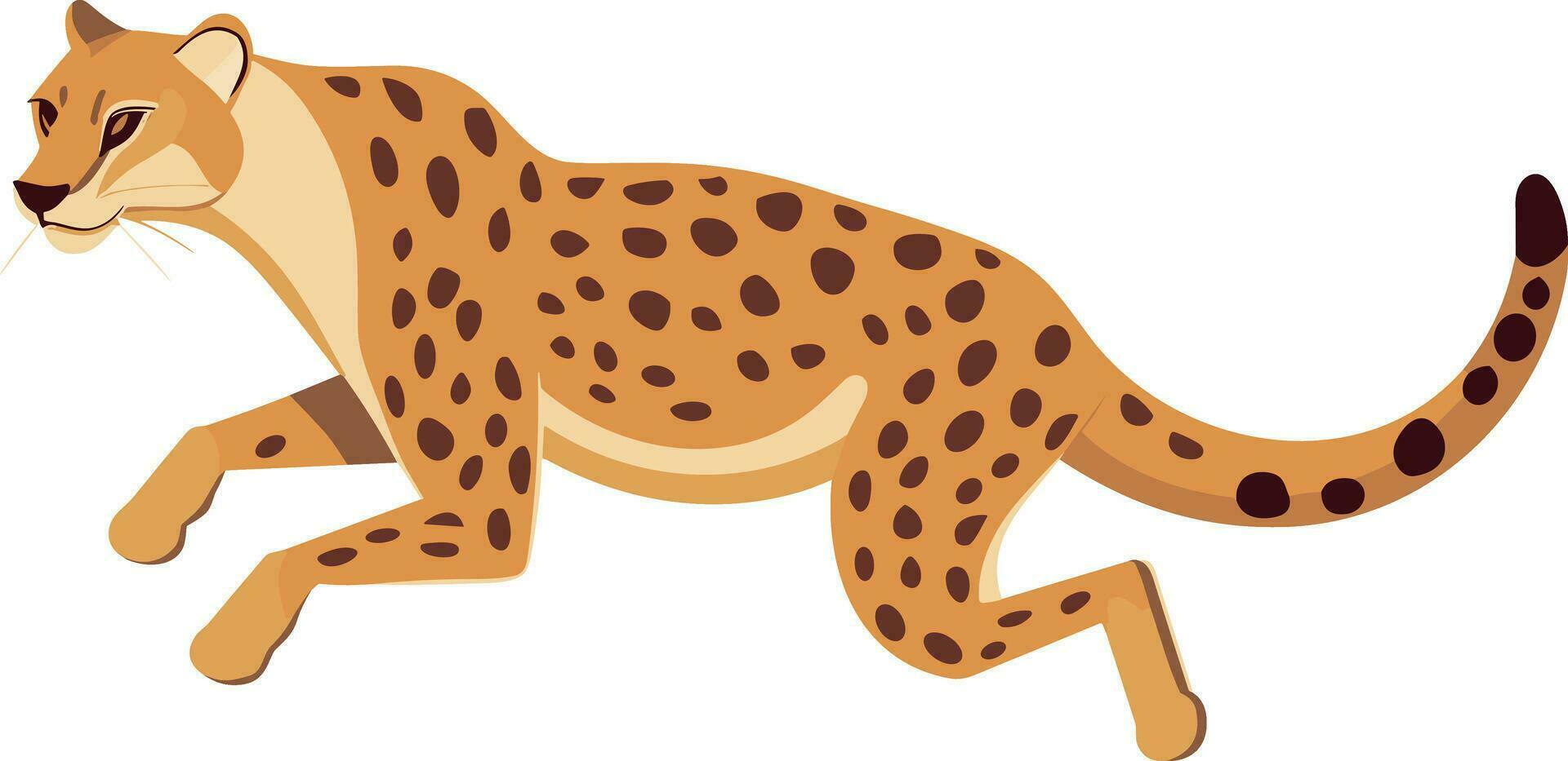 vector cheetah illustration