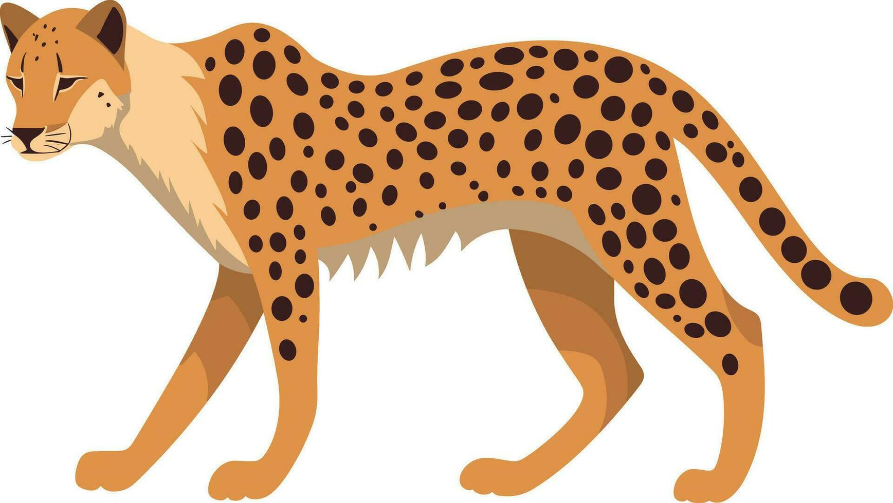 vector leopardo o leopardo plano Arte ilustración