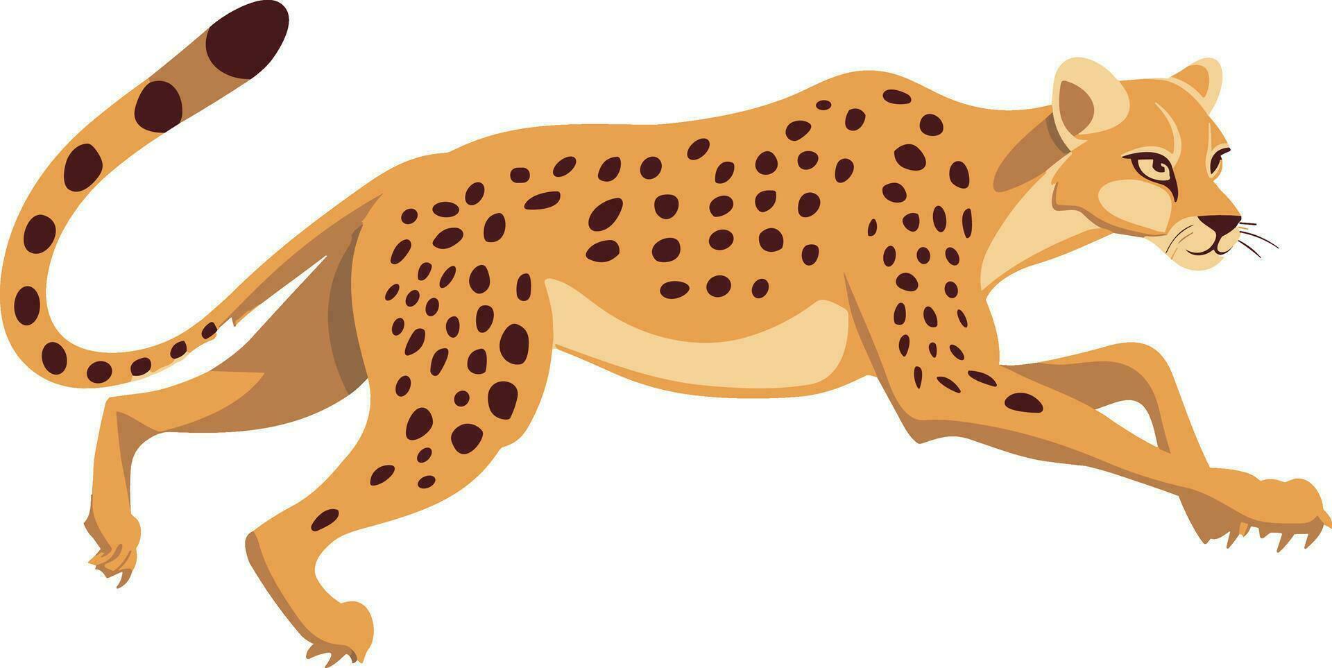 vector leopardo o leopardo plano Arte ilustración