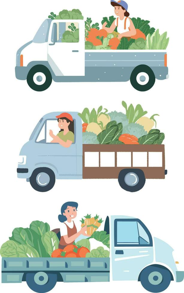 A farmer is harvesting vegetables in a truck. This design is perfect for your next design. vector