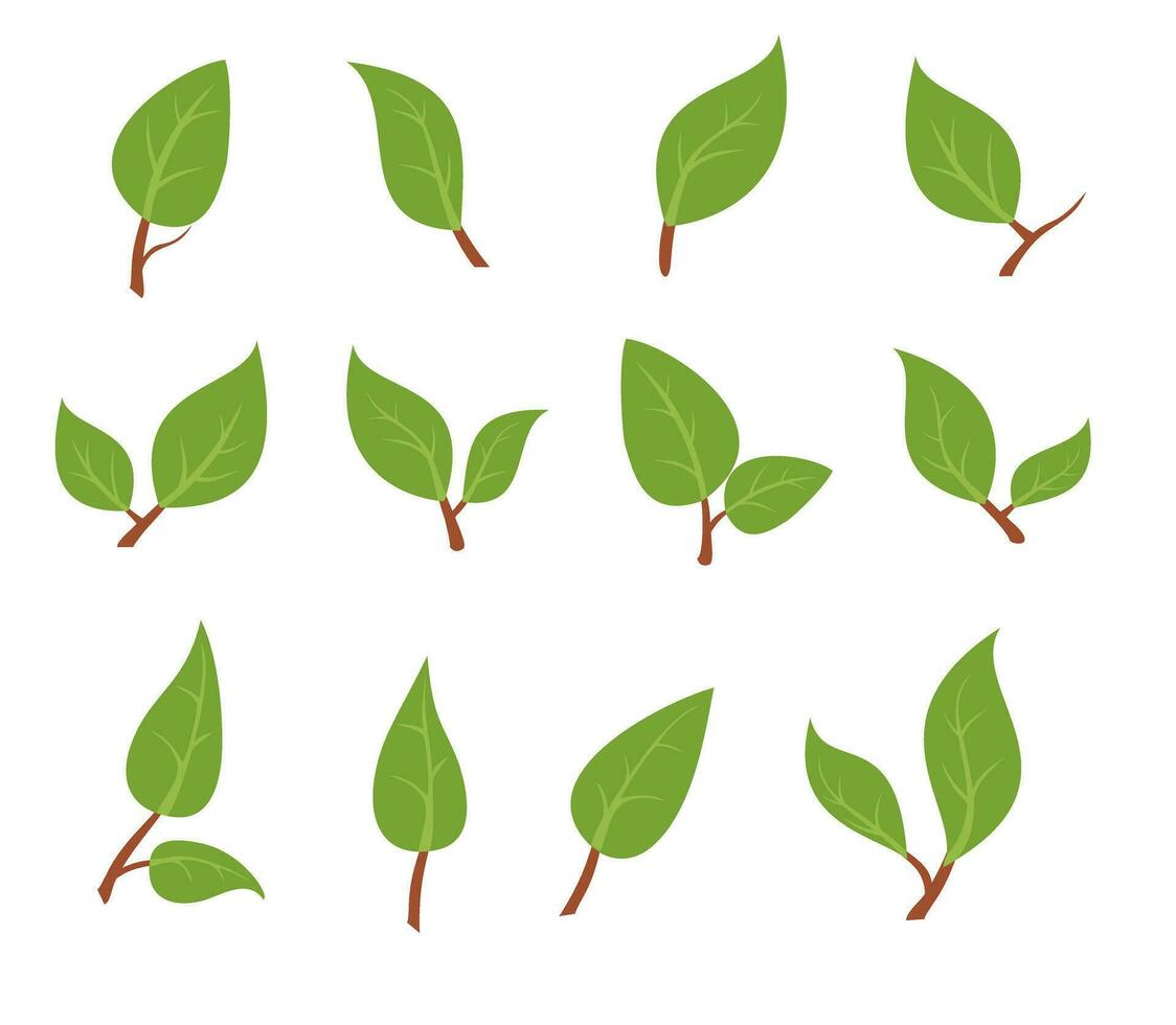 Leaves icon vector set isolated on white background. Fresh spring foliage. Environment and ecology backdrop. Vector Illustration