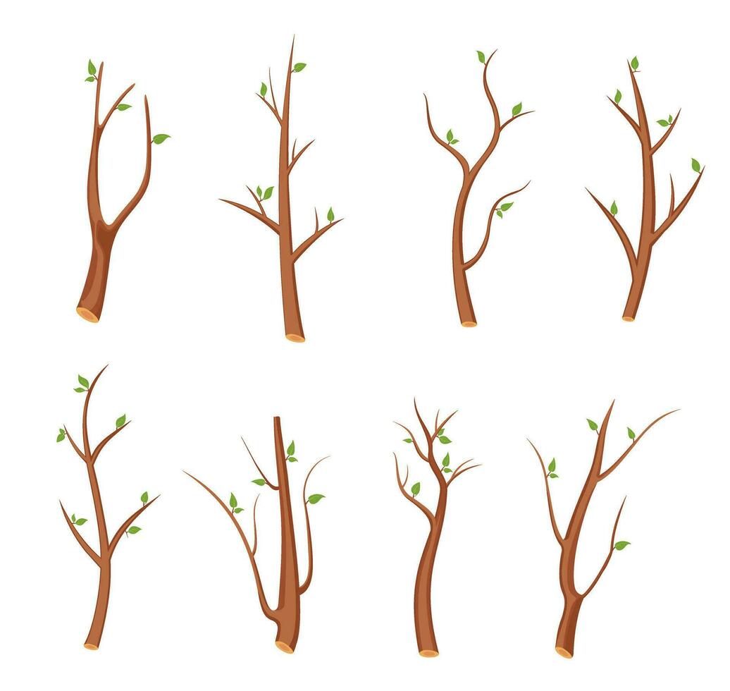 Set of tree branches with green leaves icon design. First spring leaves. Eco symbol concept isolated on white background. Vector illustration. Deciduous plant vector illustration in flat style.