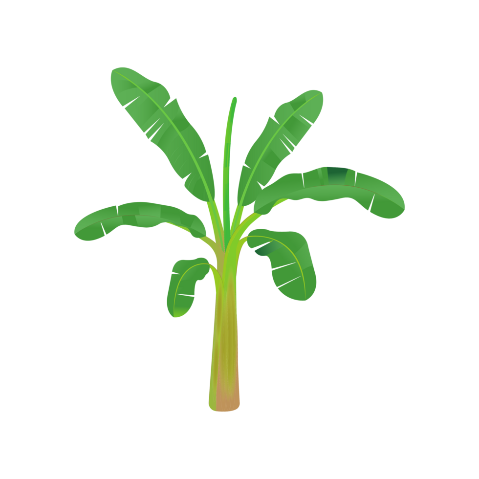 Banana Plant Stem Musa AI Generative png