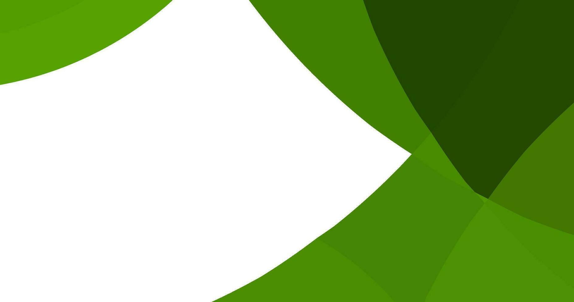 abstract green curve background for design template vector