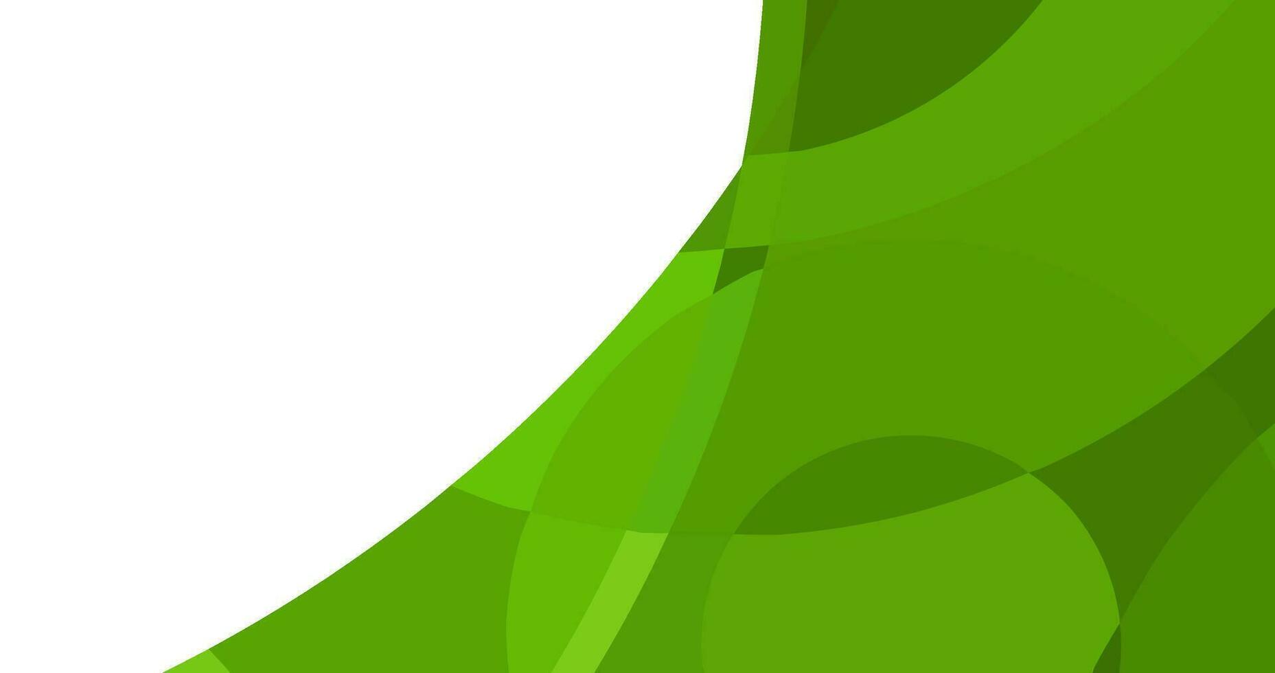abstract green curve background for design template vector