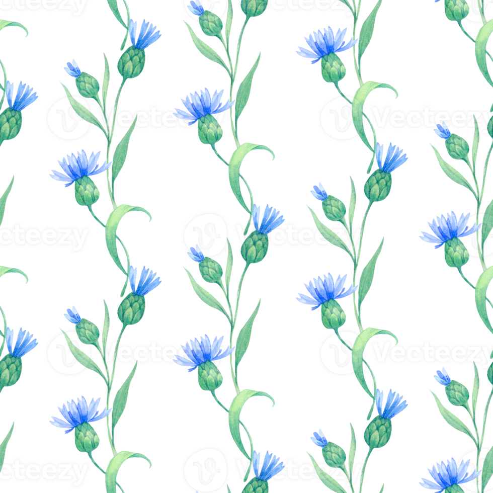 cornflowers-seamless-watercolor-pattern-with-blue-flowers-watercolor