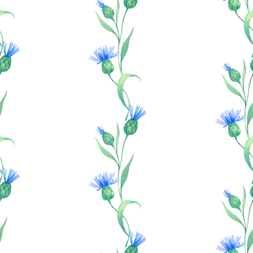cornflowers. seamless watercolor pattern with blue flowers. Watercolor illustration for fabric, textile, wrapping and wallpaper png