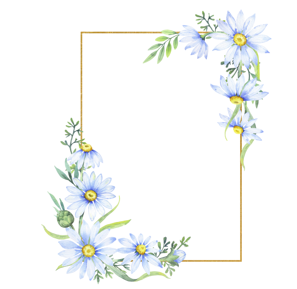 or carré Cadre avec apothicaire camomille fleurs. floral frontière de marguerites, aquarelle illustration png