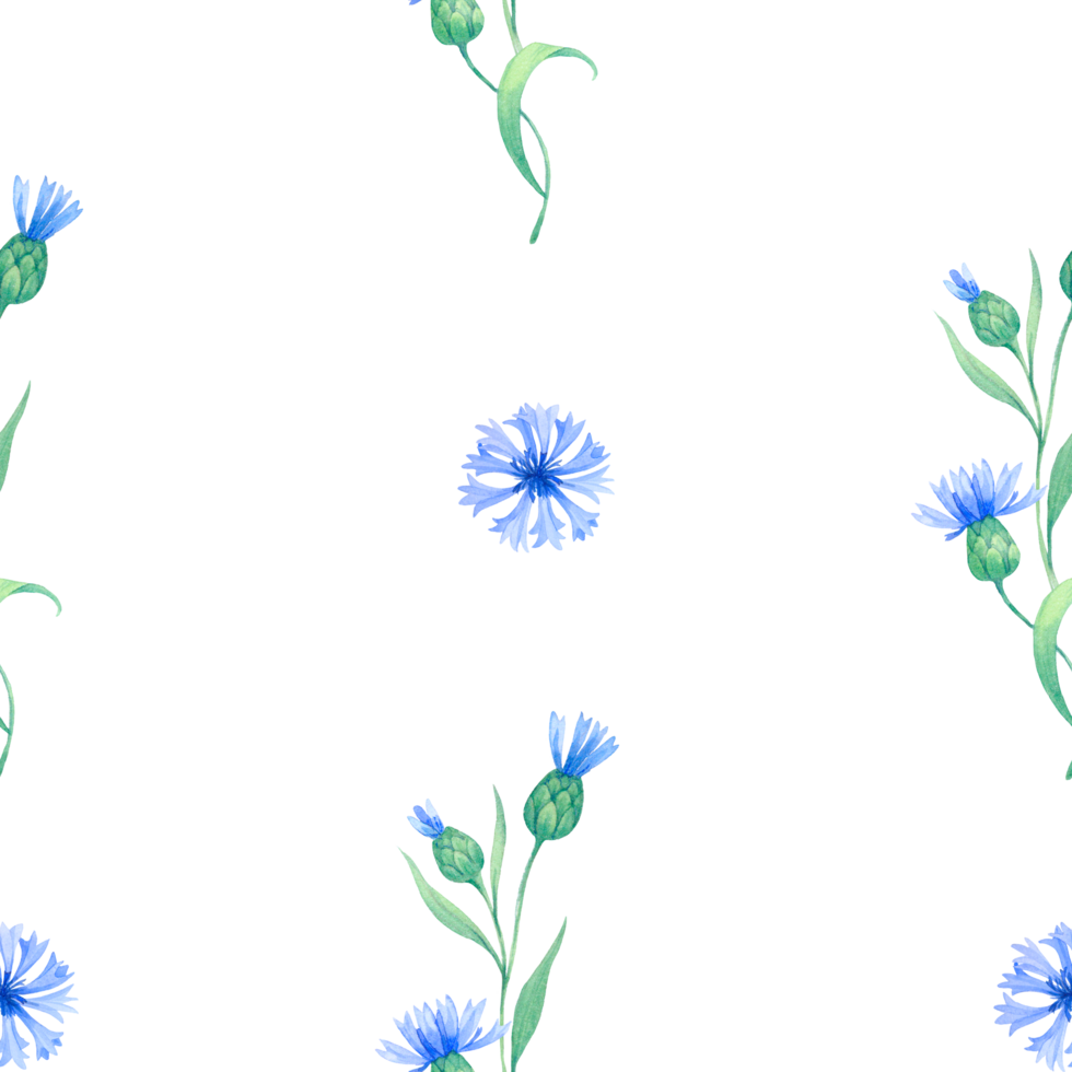 cornflowers. seamless watercolor pattern with blue flowers. Watercolor illustration for fabric, textile, wrapping and wallpaper png