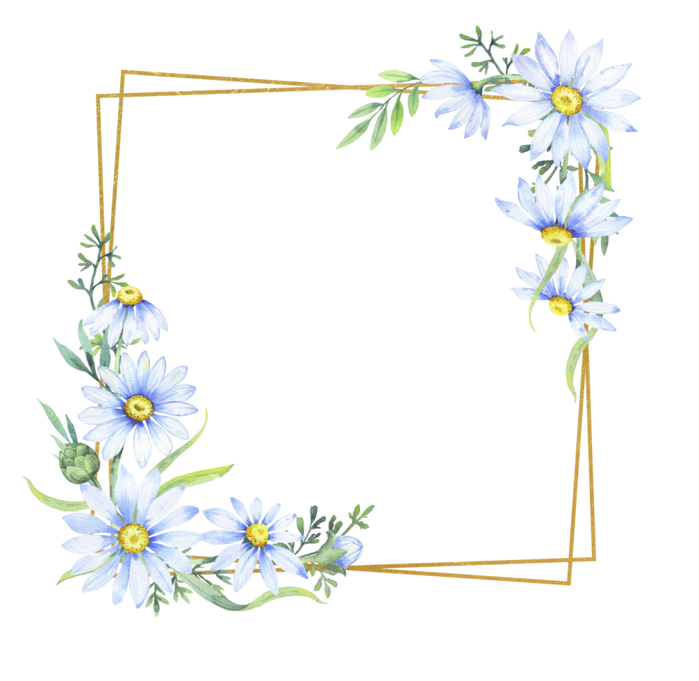 ouro quadrado quadro, Armação com farmacêutico camomila flores floral fronteira do margaridas, aguarela ilustração png