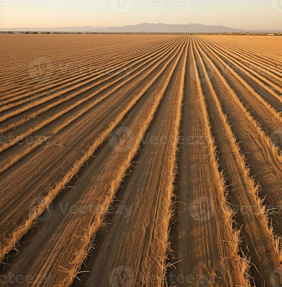 Aerial view of a barren field of crops, world food day images, AI Generative photo