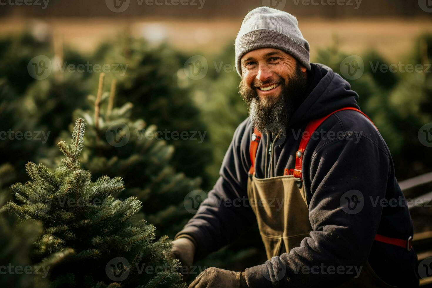 Choosing a locally grown tree for a more sustainable Christmas celebration photo