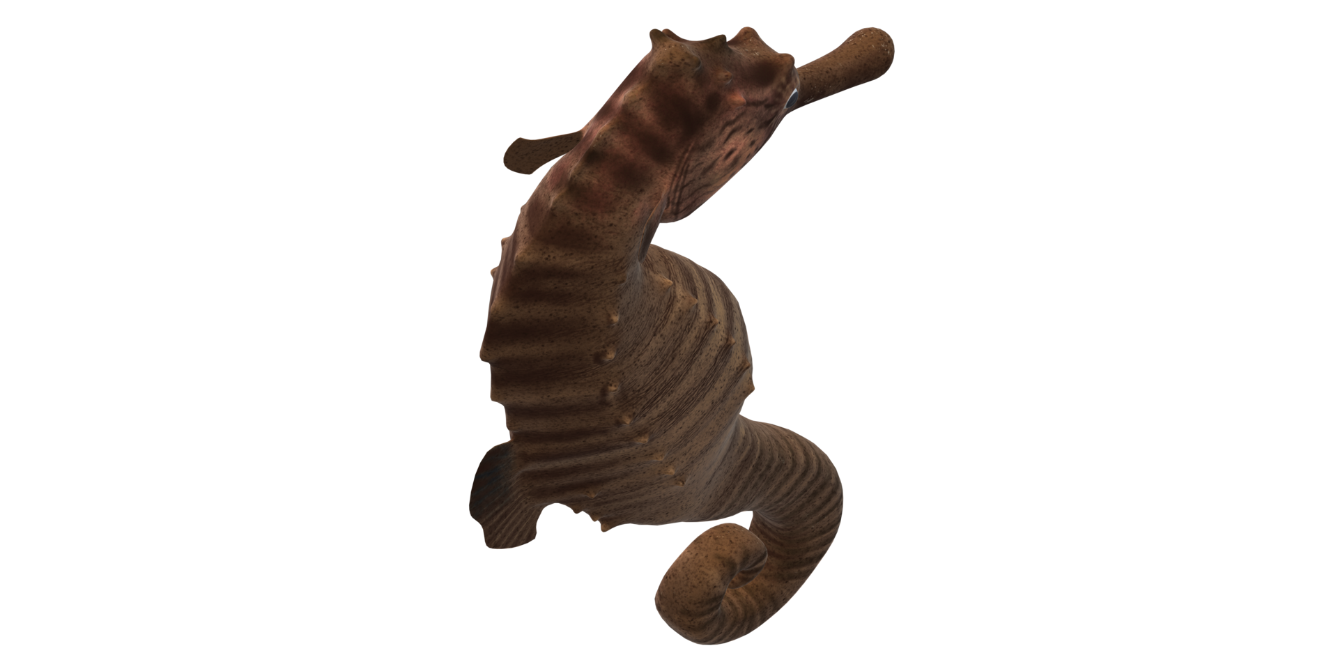 Sea horse isolated on a Transparent Background png