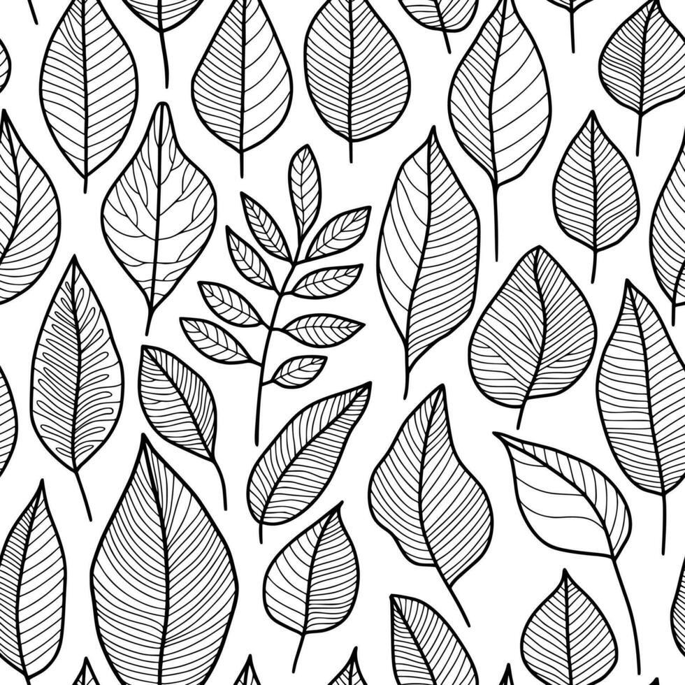 Abstract Leaf Pattern, Black Outline Drawing on a White Background