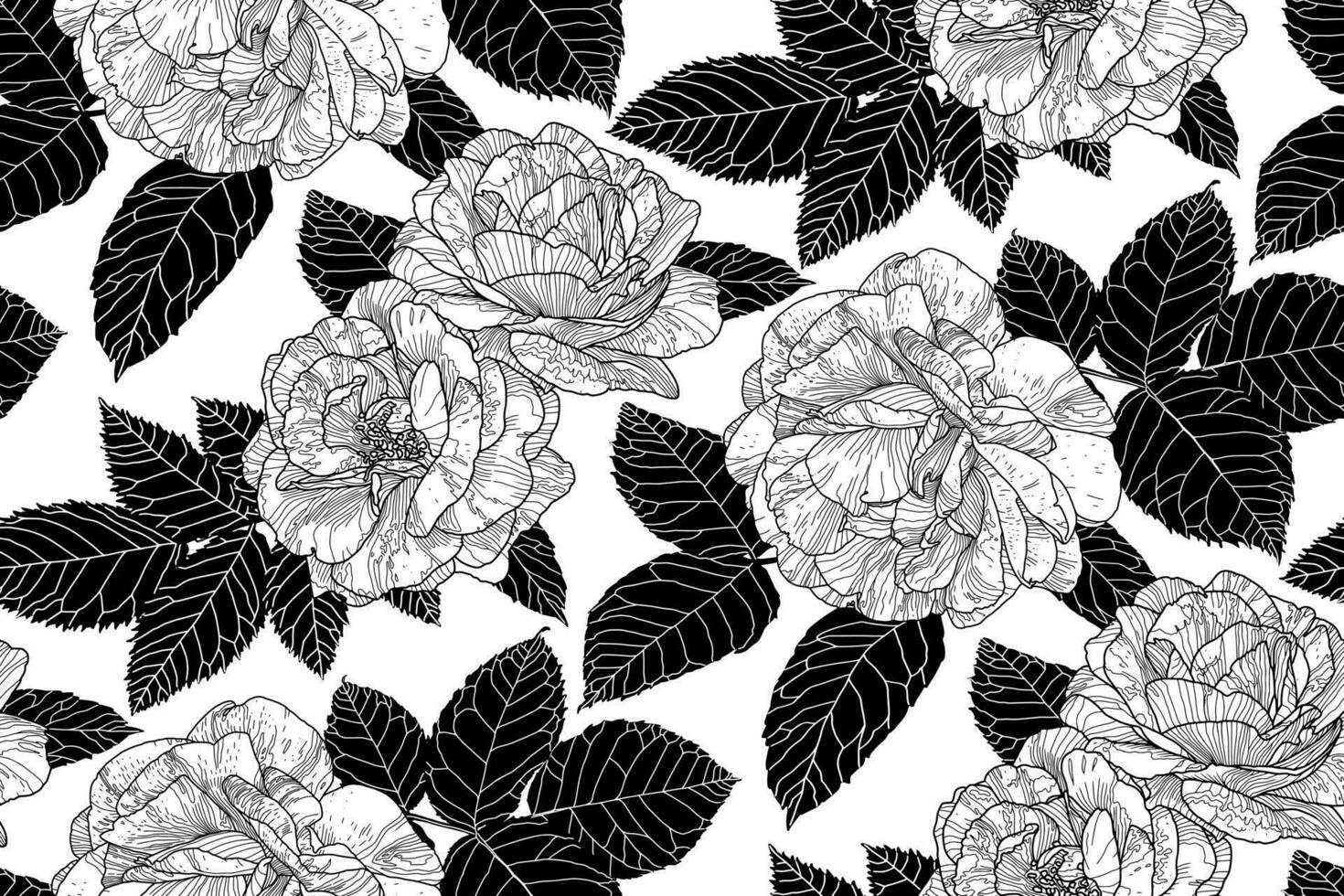 monocromo negro y blanco sin costura modelo con rosas y negro hojas en blanco. mano dibujado contorno líneas. floral fondo de pantalla diseño para textiles, papel, imprimir, moda, tela, y tarjeta antecedentes. vector
