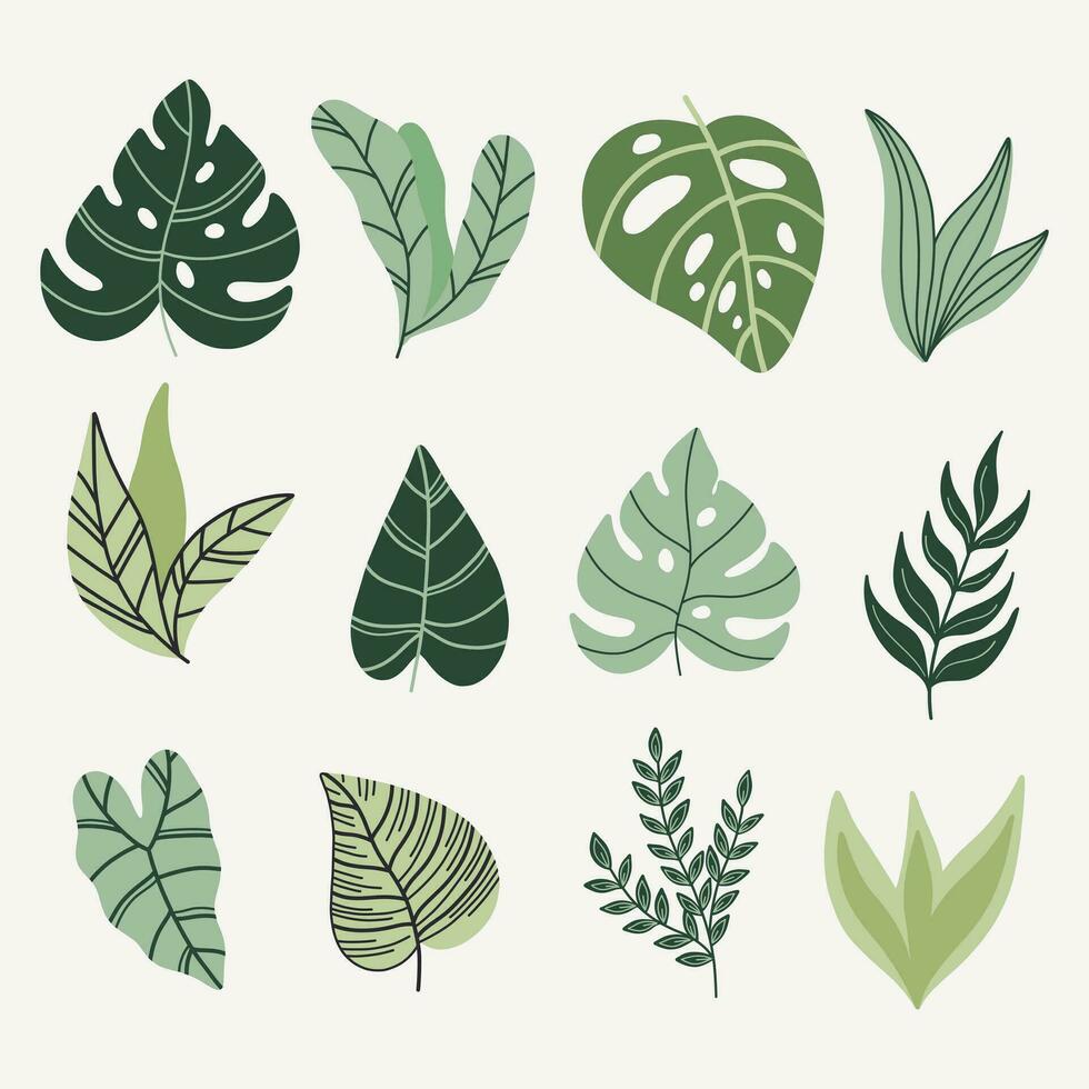 Modern tropical leaves set. Monstera ,palm,bananas leaves vector