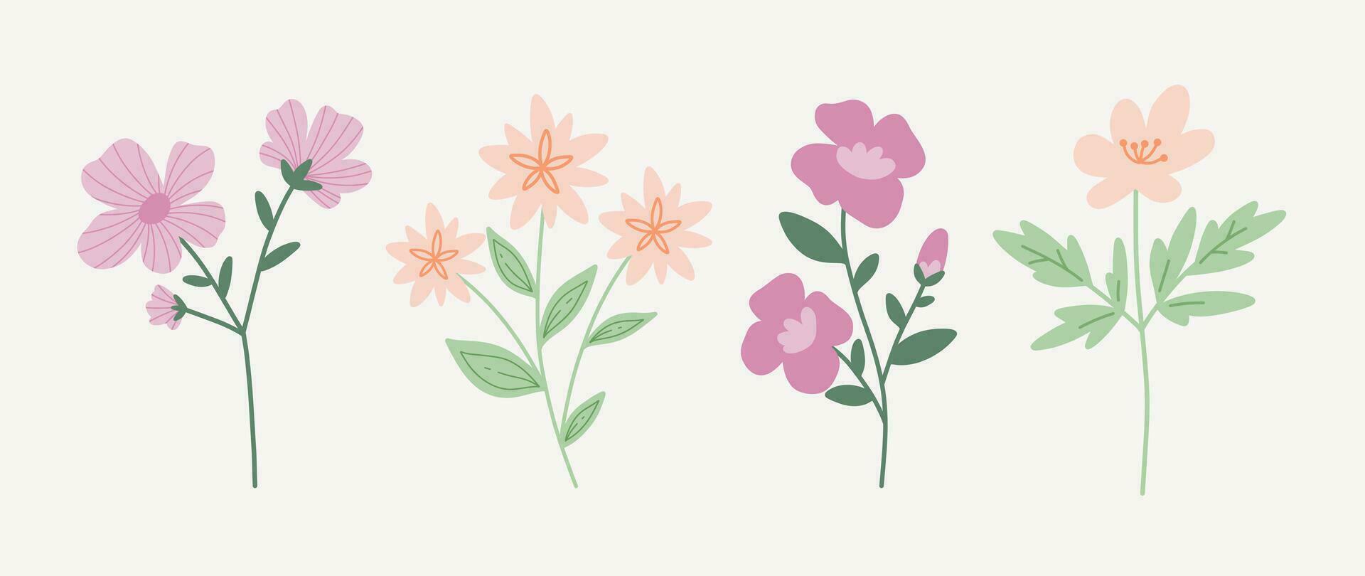 conjunto de moderno floral elementos.flor y verde hojas.mano dibujar botánico. vector