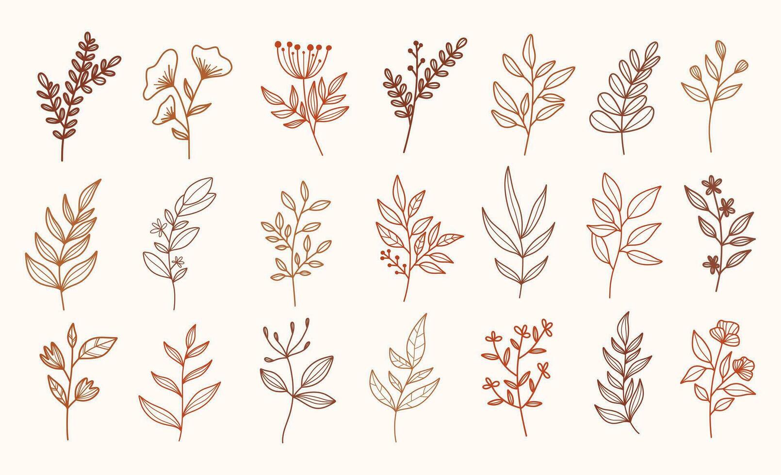 Set of modern floral line art elements.Hand draw botanical. vector