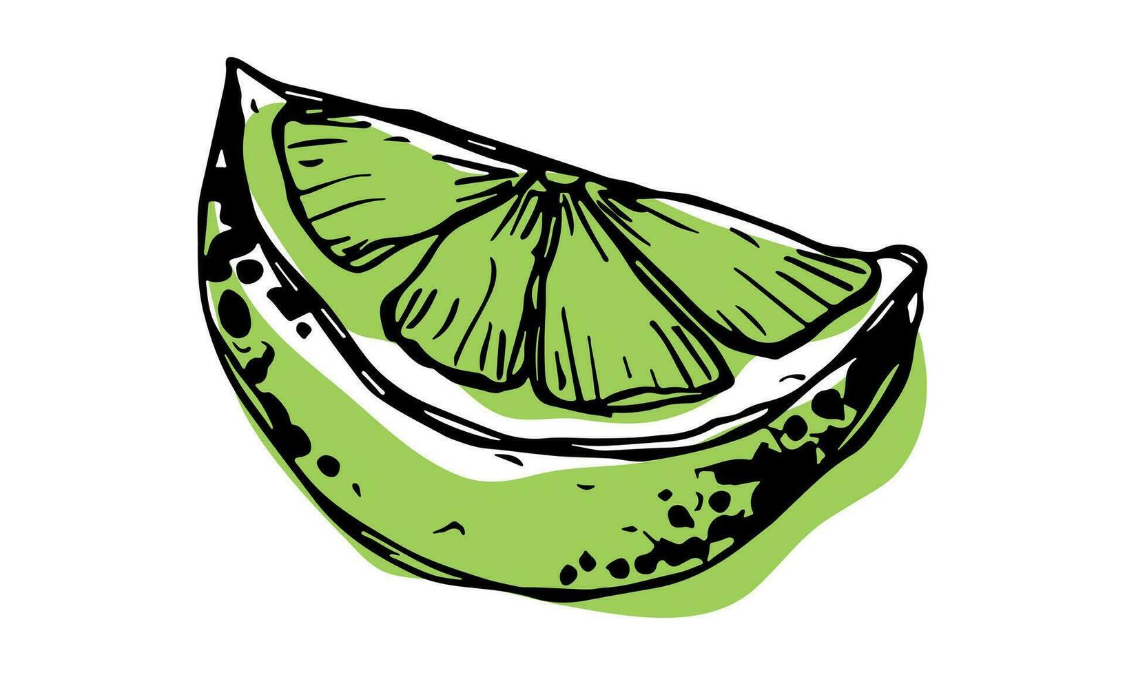 Vector lime clipart. Hand drawn citrus icon. Fruit illustration. For print, web, design, decor