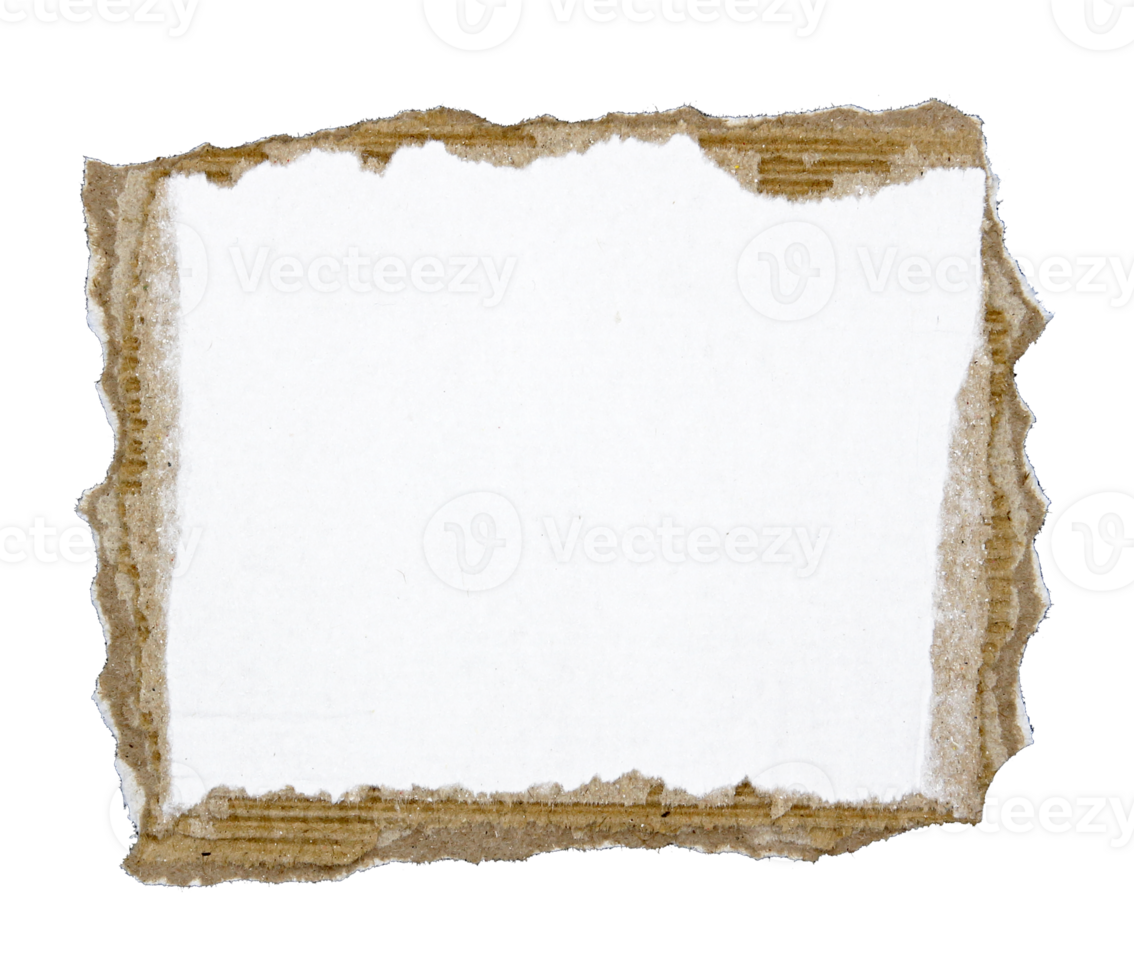 Torn pieces of corrugated paper on transparent background png file