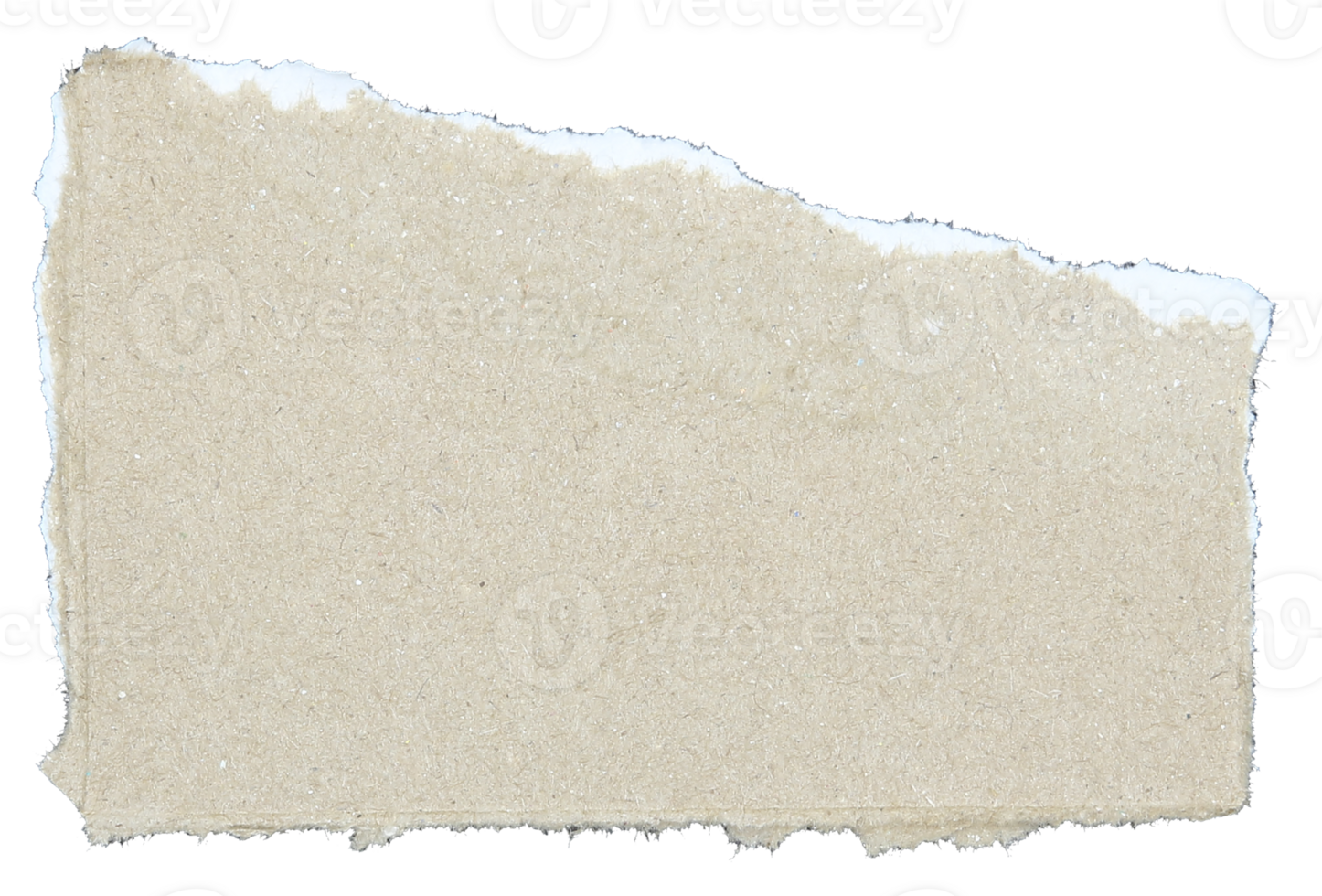 Torn pieces of corrugated paper on transparent background png file