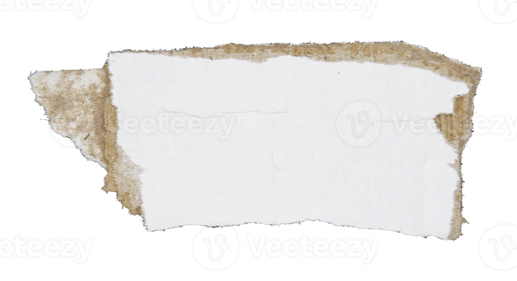 Torn pieces of corrugated paper on transparent background png file