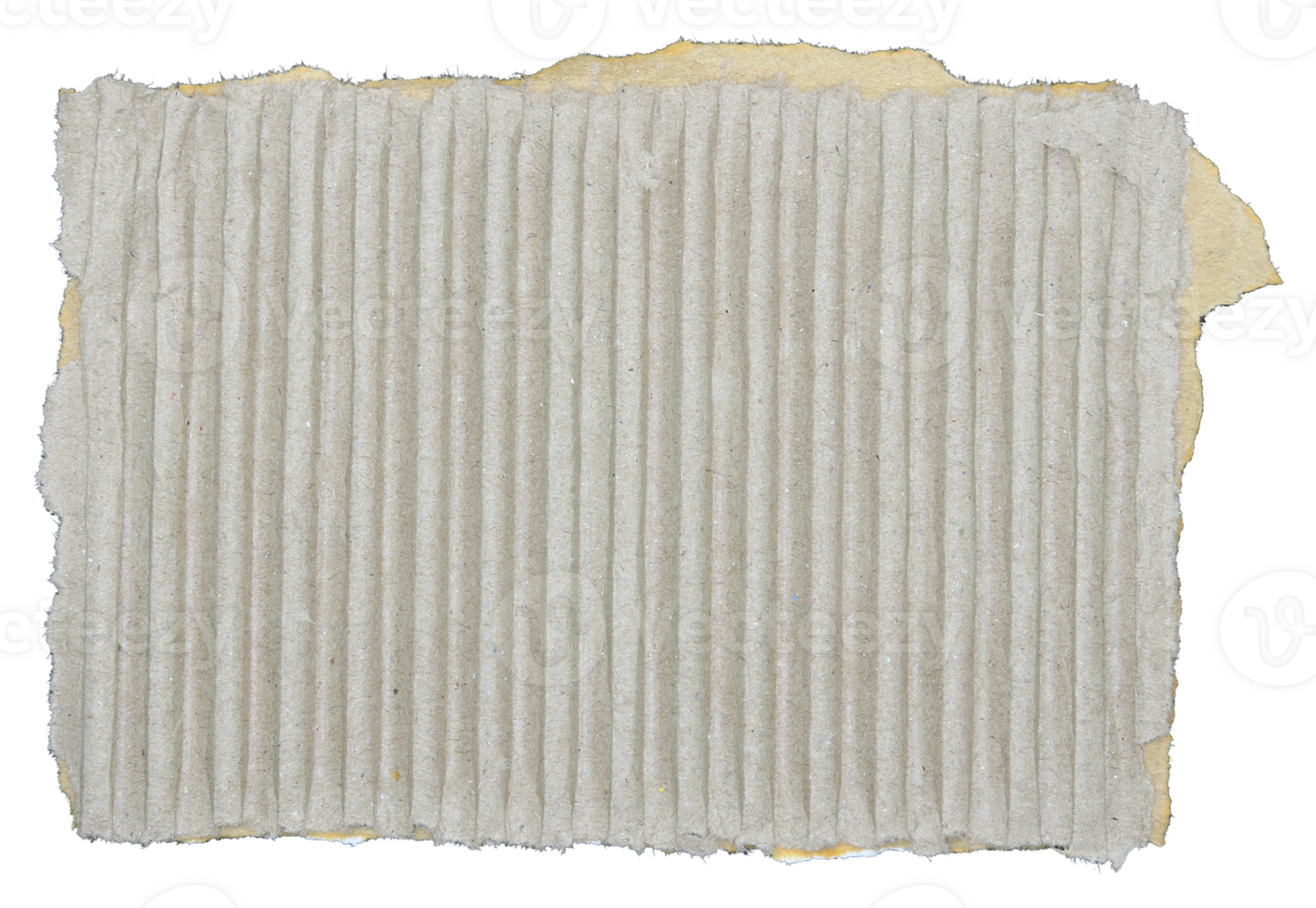 Torn pieces of corrugated paper on transparent background png file