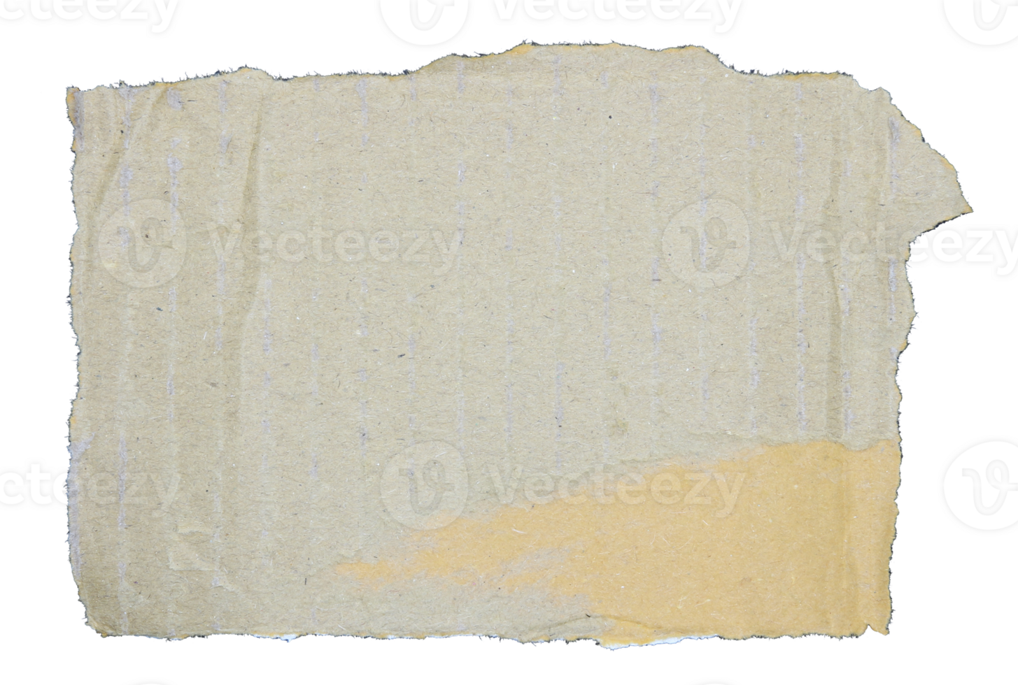 Torn pieces of corrugated paper on transparent background png file