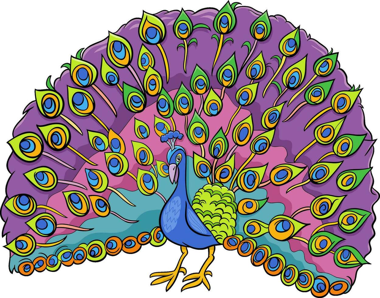 pavo real pájaro animal personaje dibujos animados ilustración vector