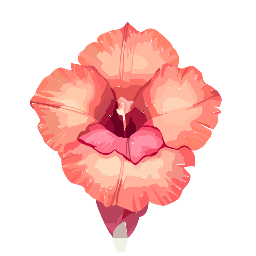 Gladiolus Flower ,Red Gladiolus Flower Design Element Free.