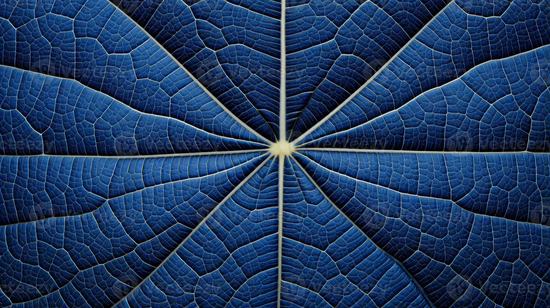 Close up texture leaf structure macro photography, abstract texture, Generative AI illustration photo