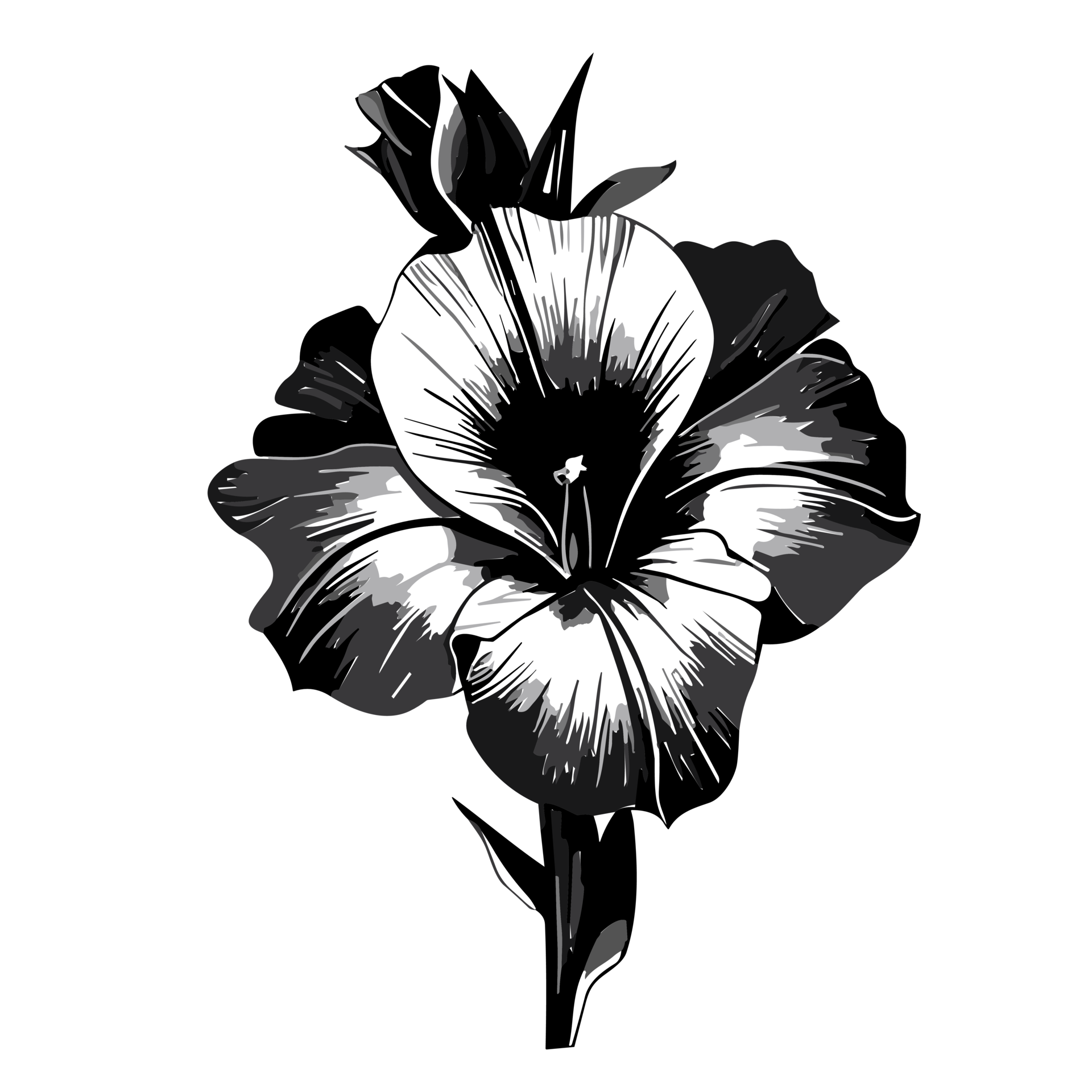 Flower T Shirts PNG Transparent Images Free Download