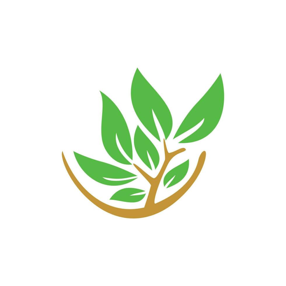 nature logo design template. eco sign and symbol. vector