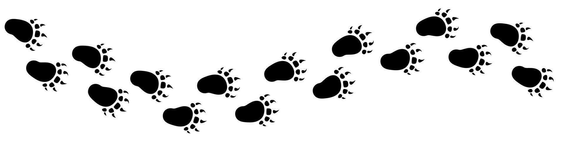 Vector paw trail of bear foot print. Silhouette of grizzly tracks isolated on white background.