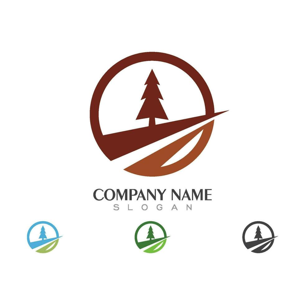 Cedar tree Logo template vector