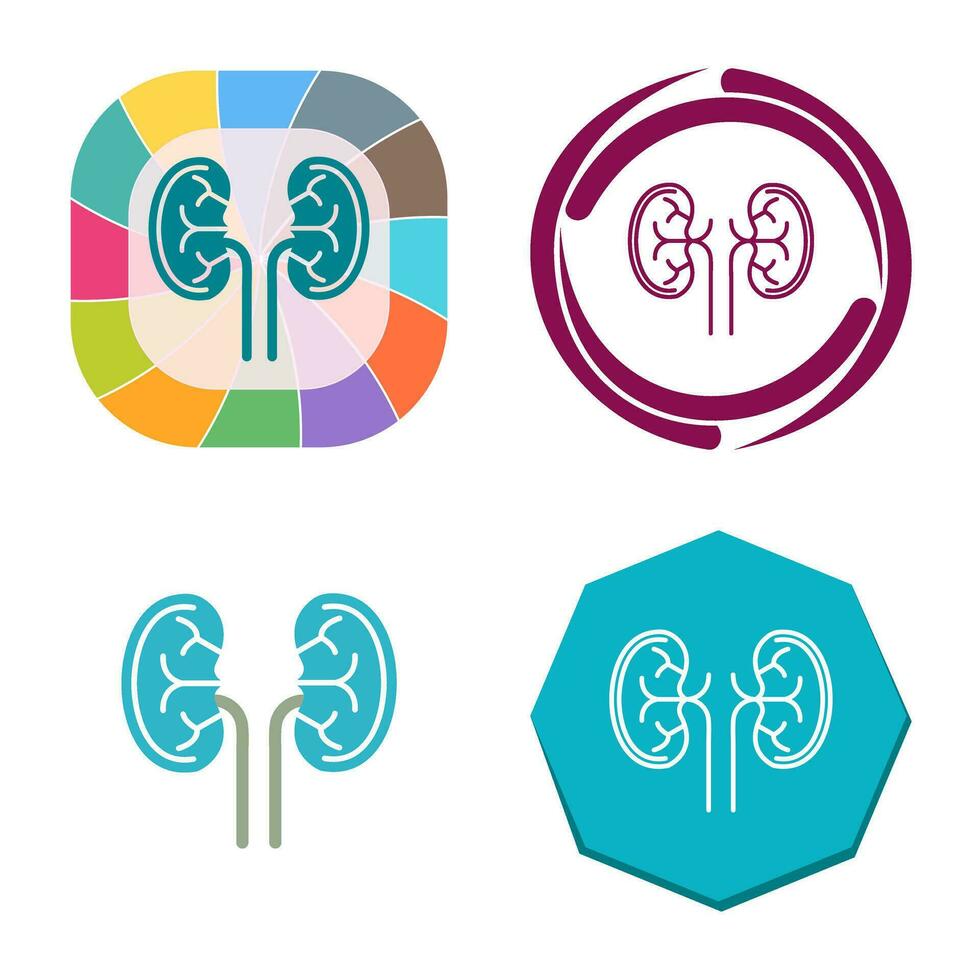 Kidney Vector Icon