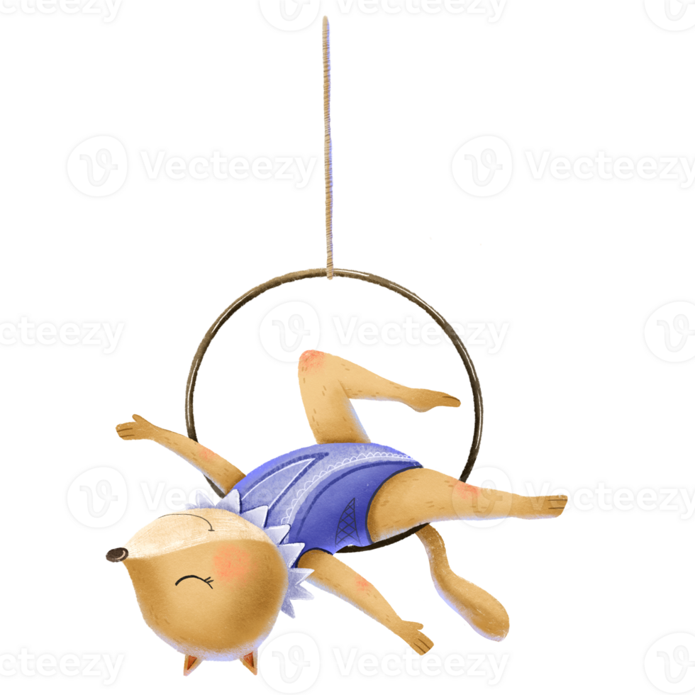 rojo zorro trapecista en un Deportes púrpura leotardo muestra un espectáculo en el aéreo anillo. linda para niños ilustración. circo espectáculo actuación png