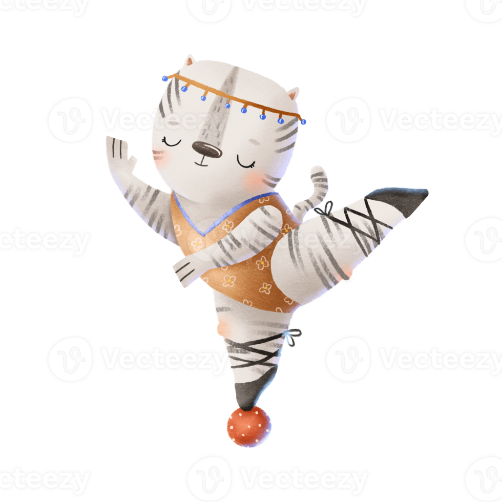 A black and white zebra in a gymnastic orange leotard and a headband and pointe shoes stands on a gymnastic ball on one leg. Ballet show, circus variety performance. Cute childish png