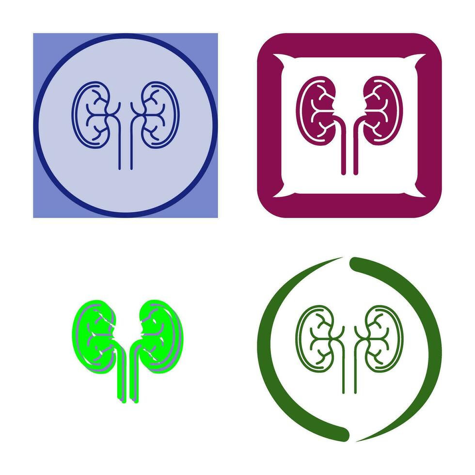 Kidney Vector Icon