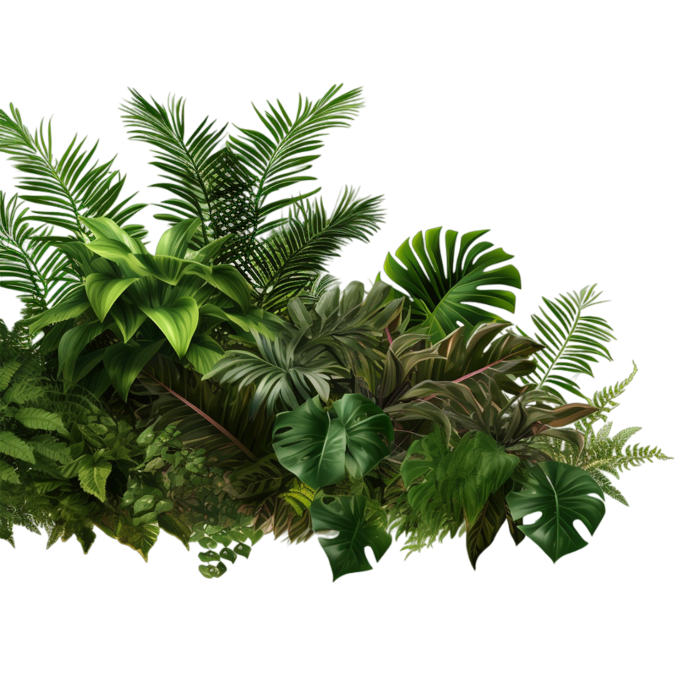 tropisk löv och ormbunke växt häck png ai generativ