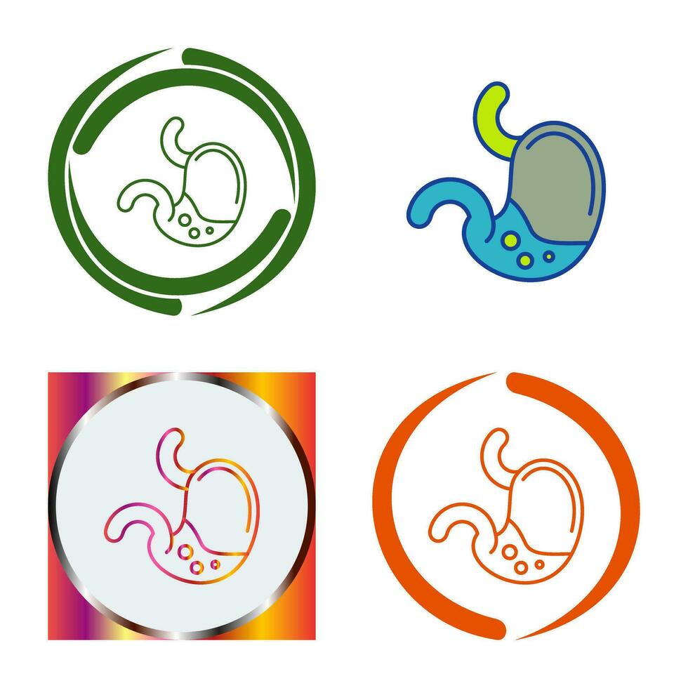 Stomach Vector Icon