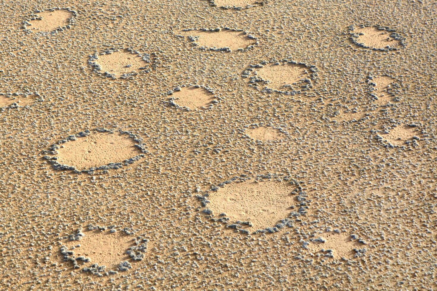 hada círculos en el namib desierto. foto