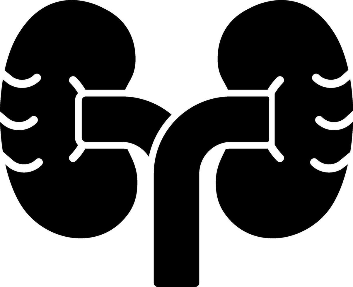 Kidney Vector Icon