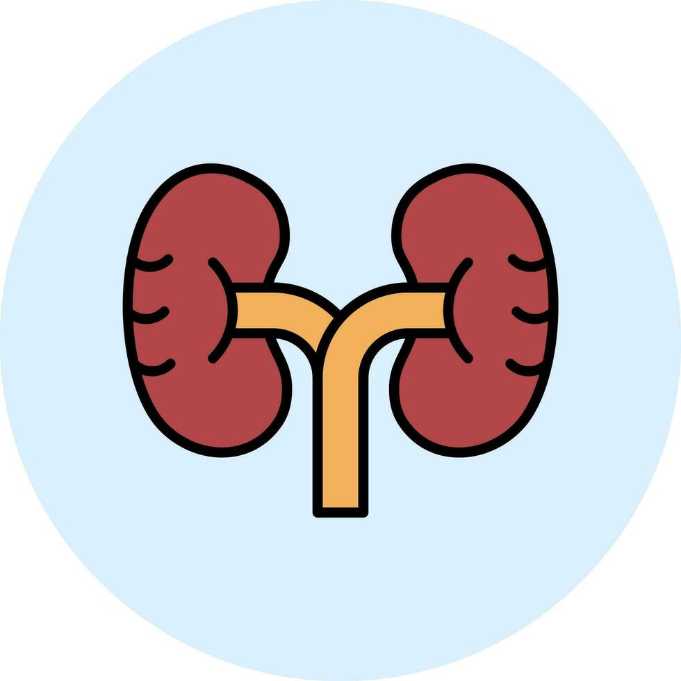 riñón vector icono