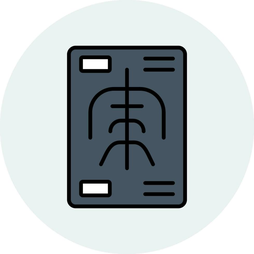 X Rays Vector Icon