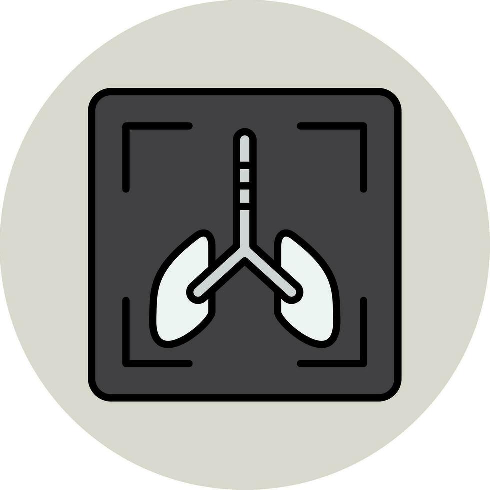 X Ray Vector Icon