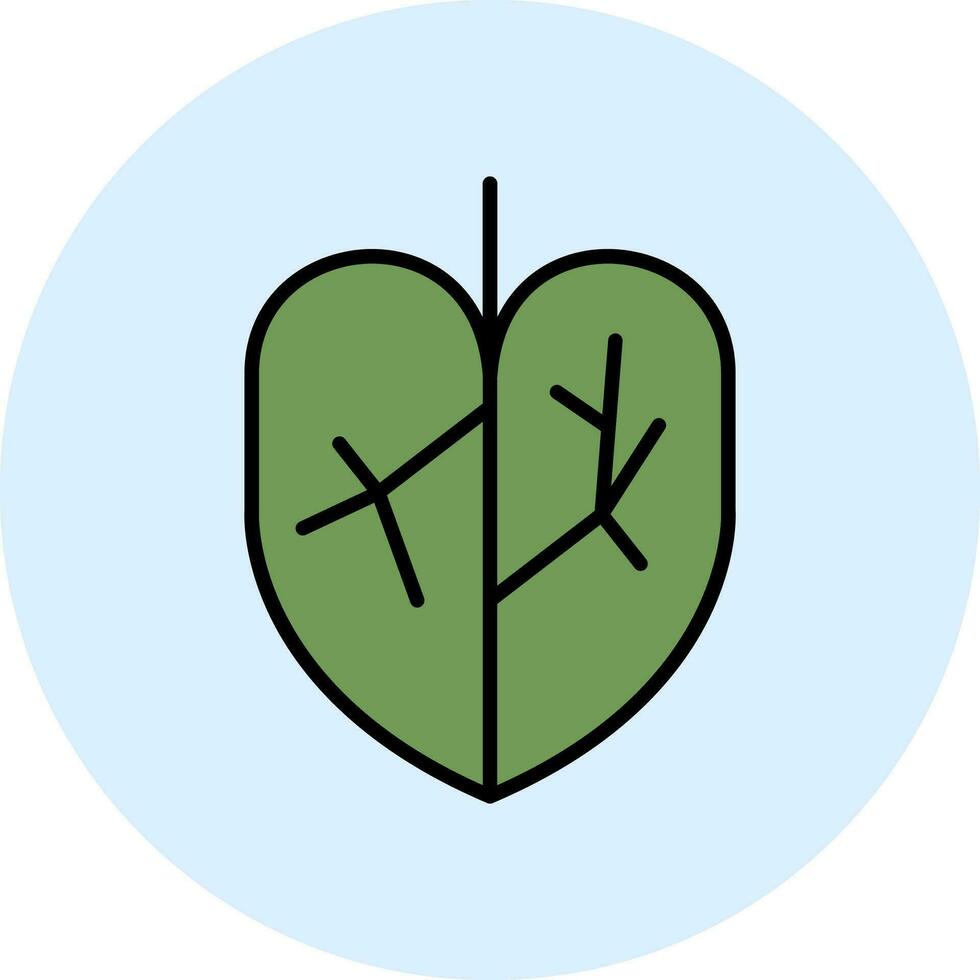 Colocasia Vector Icon